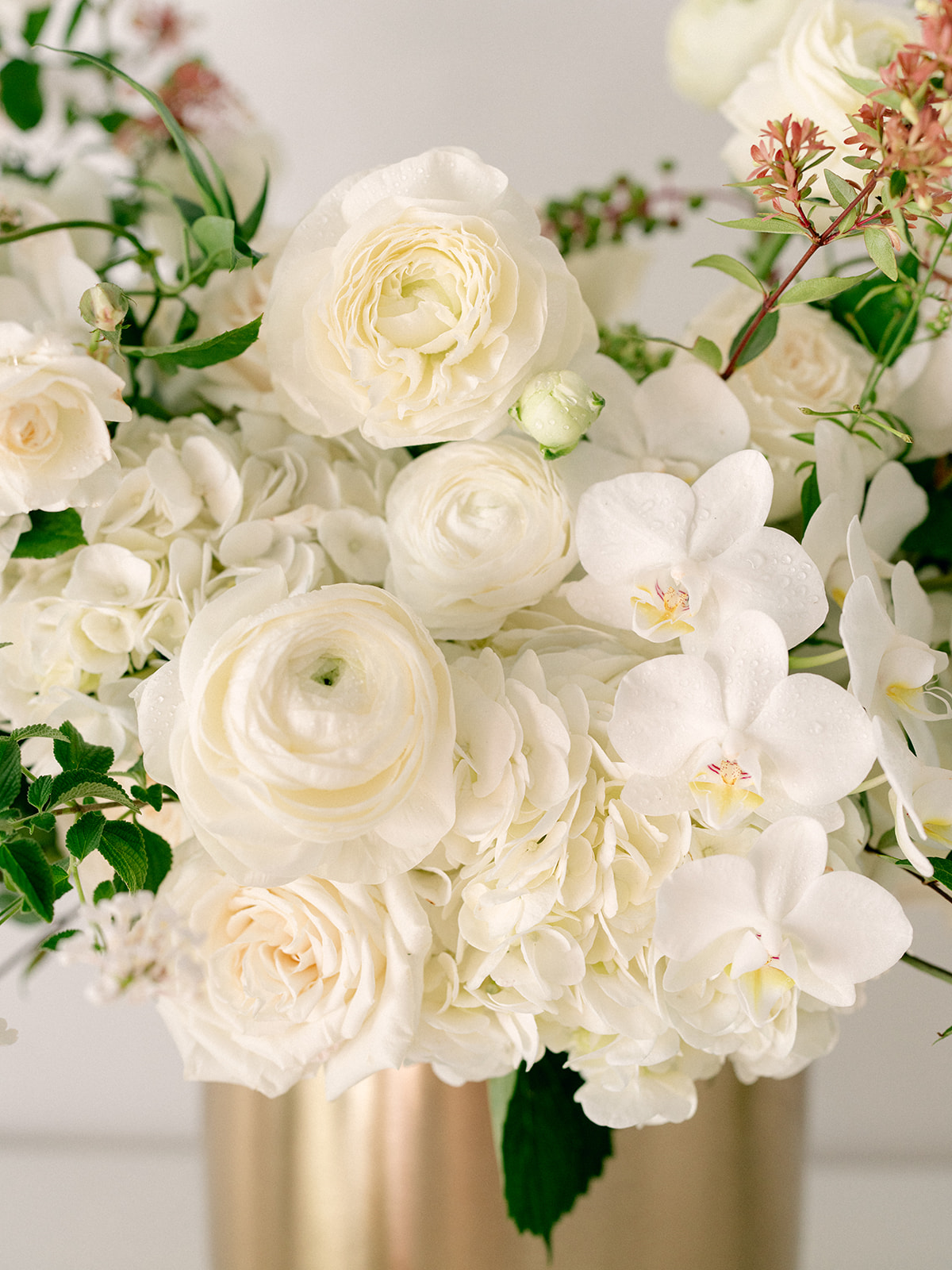 Roses